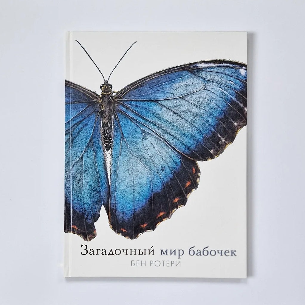 Загадочный мир бабочек