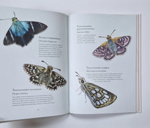 Загрузить изображение в средство просмотра галереи, Загадочный мир бабочек
