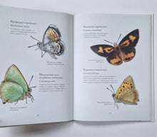 Загрузить изображение в средство просмотра галереи, Загадочный мир бабочек
