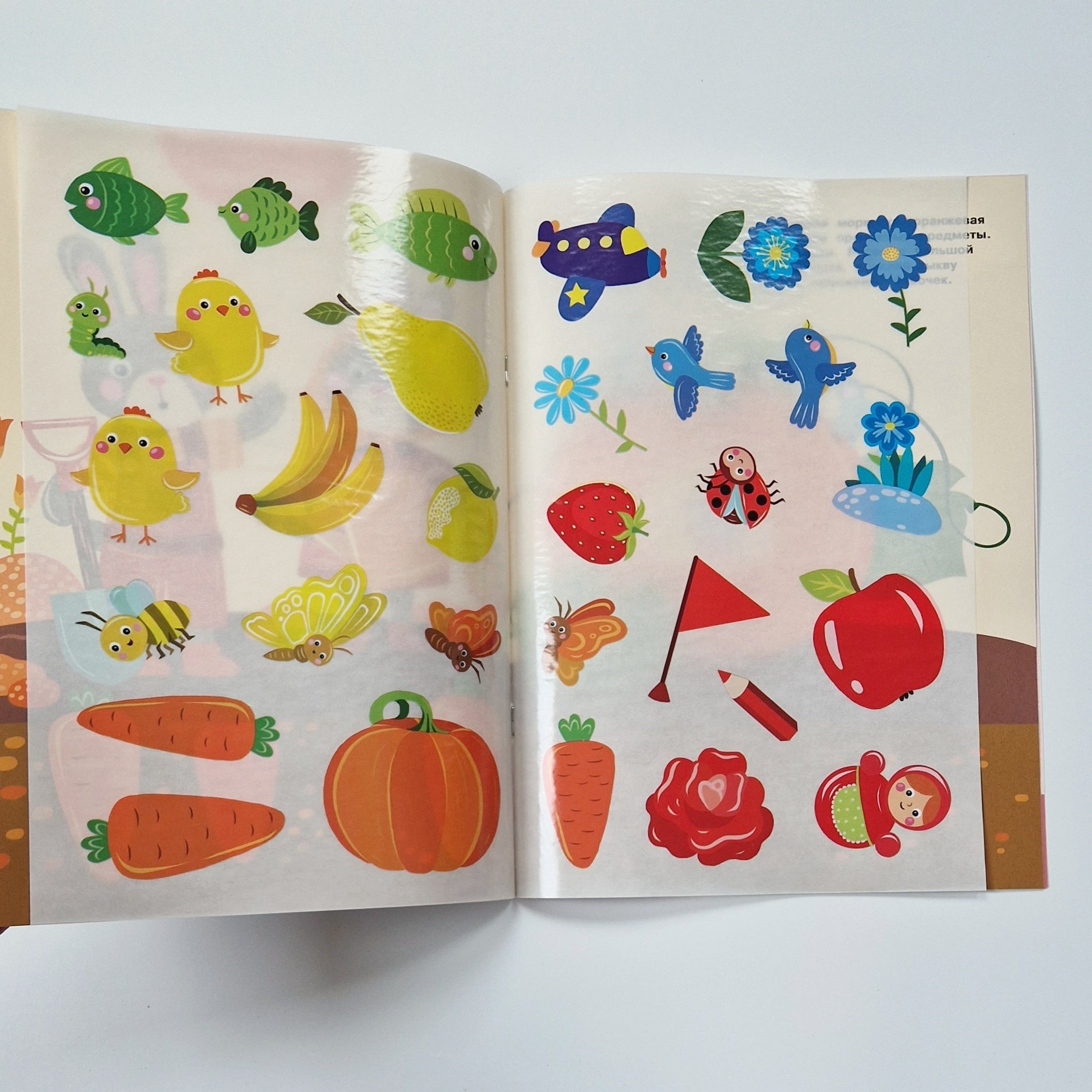 Reusable Stickers. Learning Colors