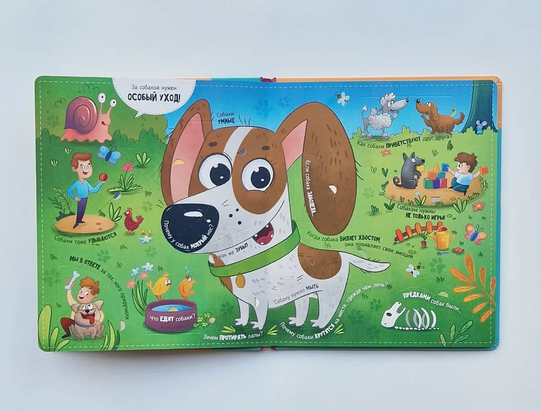Look! A dog!