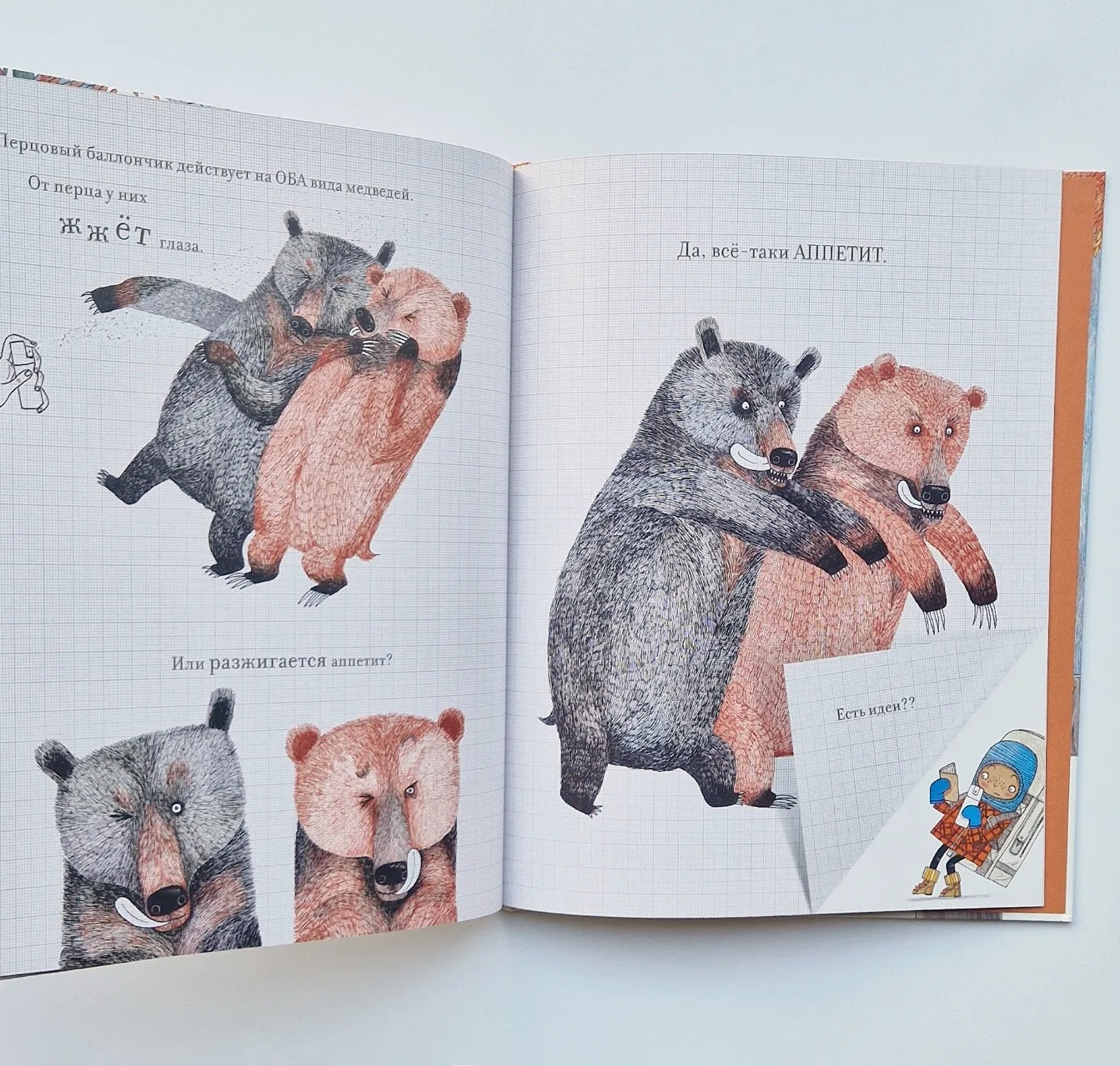 Практическая медведология для начинающих