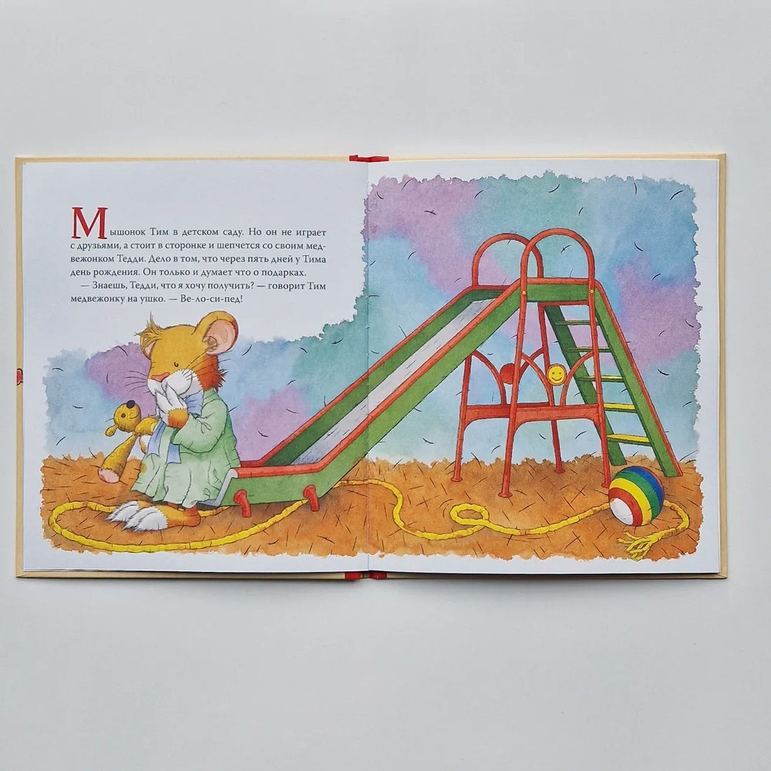 Мышонок Тим. А что вы мне подарите?