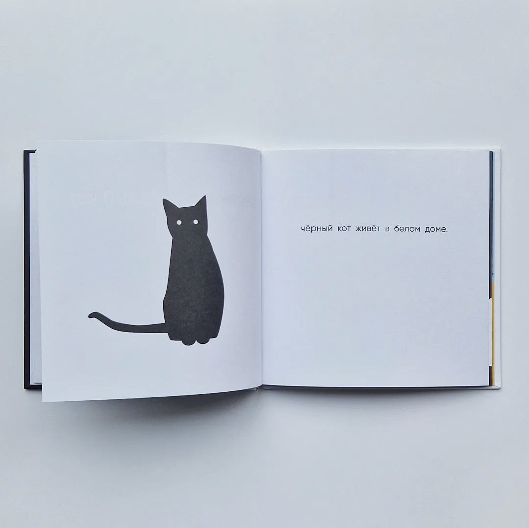 Чёрный кот, белый кот