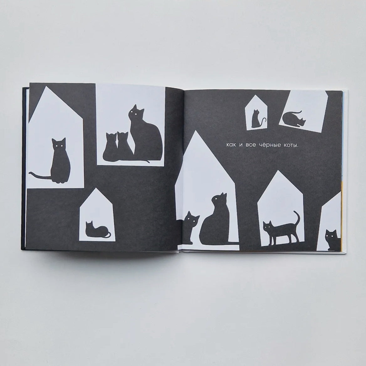 Чёрный кот, белый кот