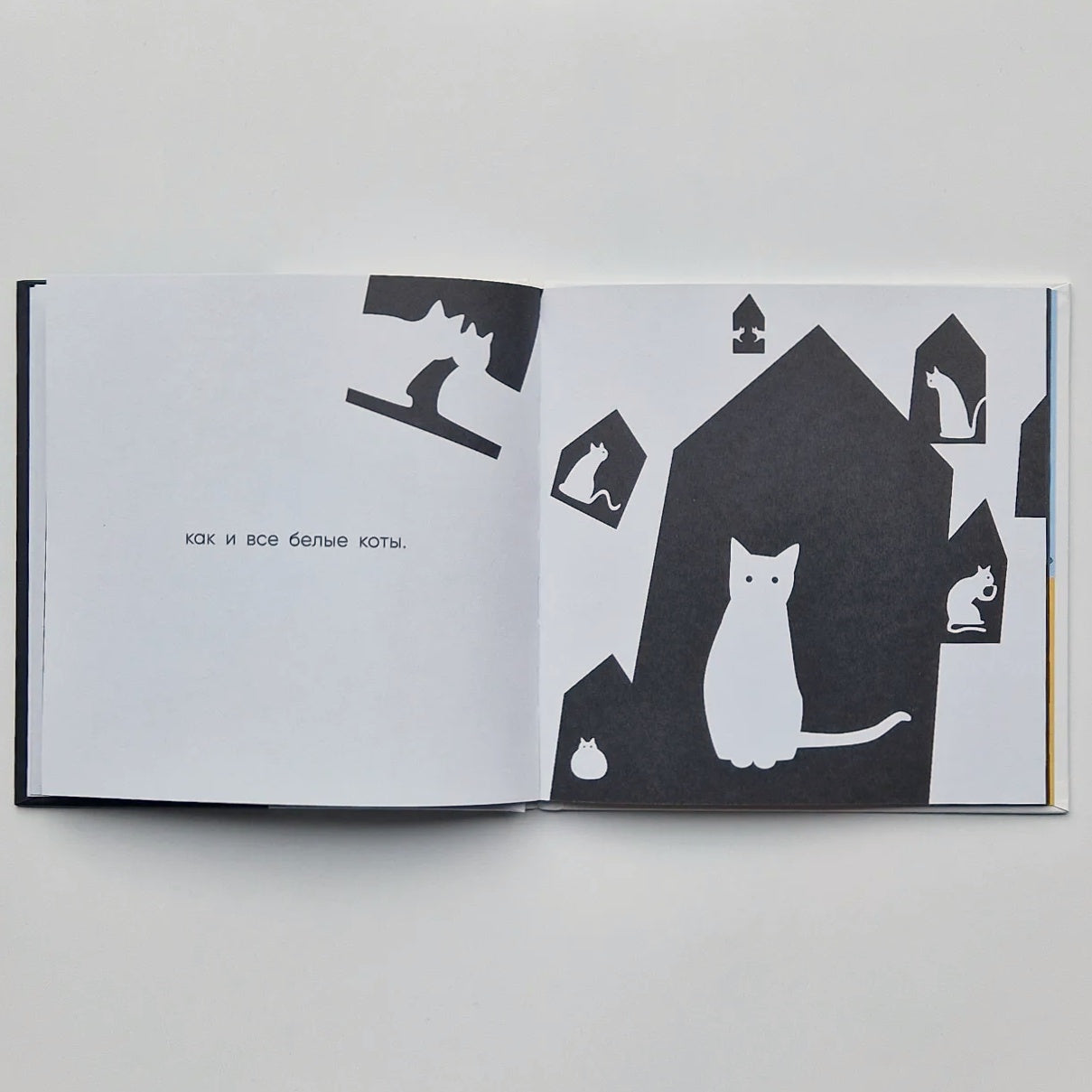 Чёрный кот, белый кот