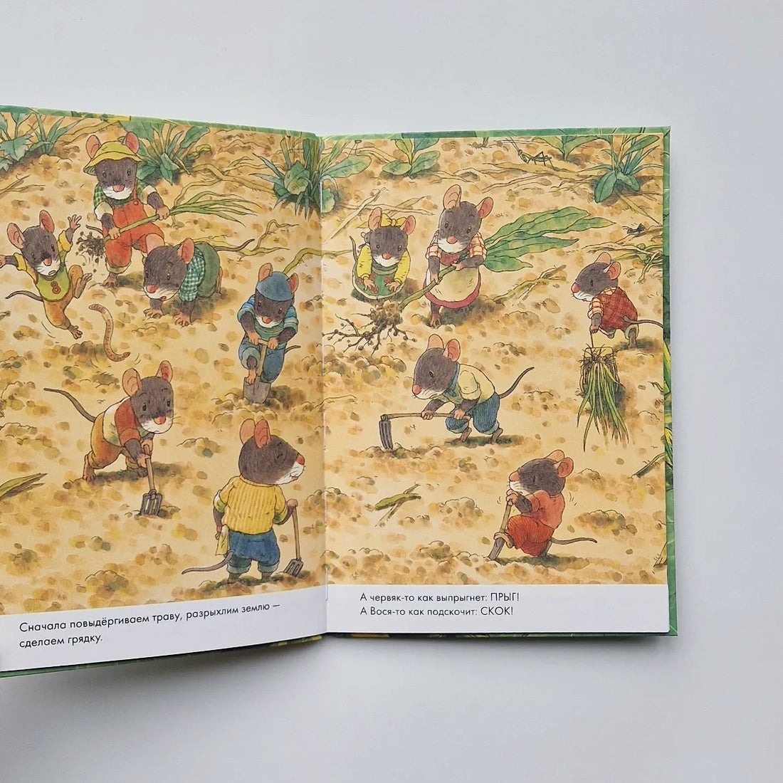 14 лесных мышей. Тыква (мини)