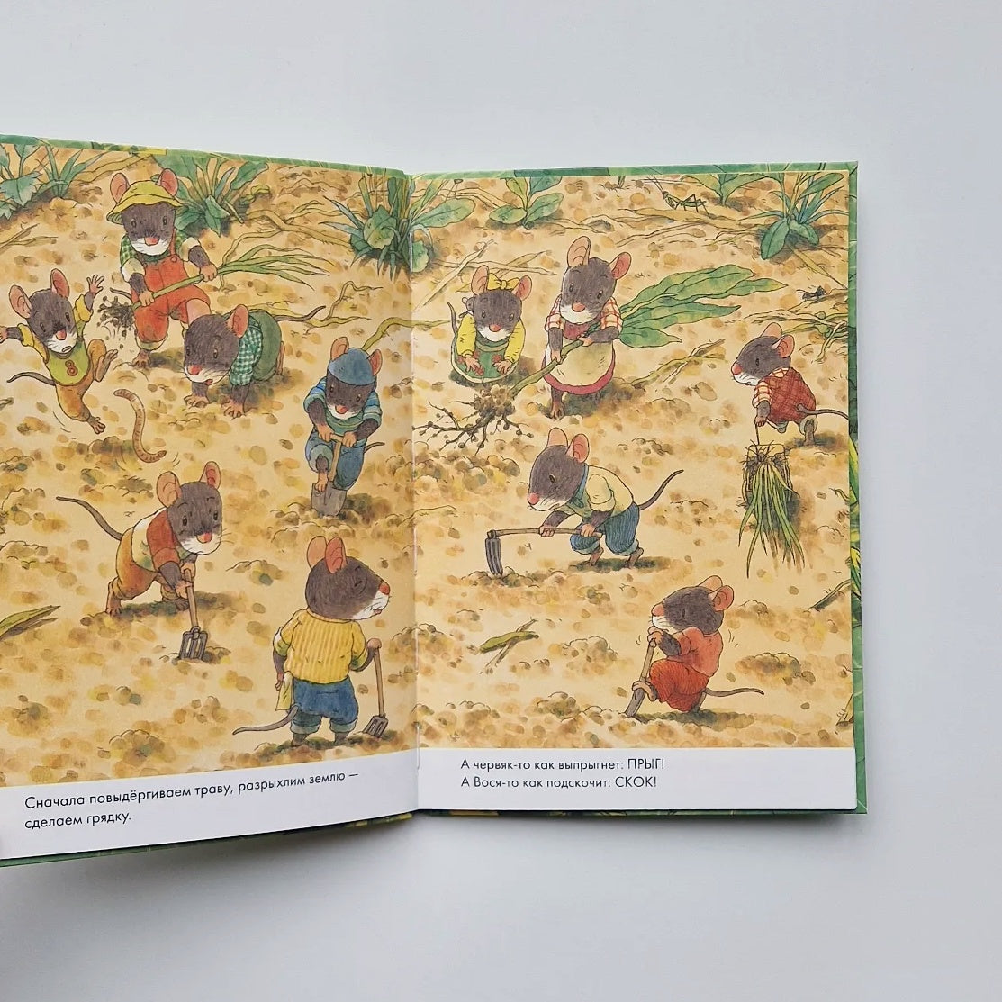 14 лесных мышей. Тыква (мини)