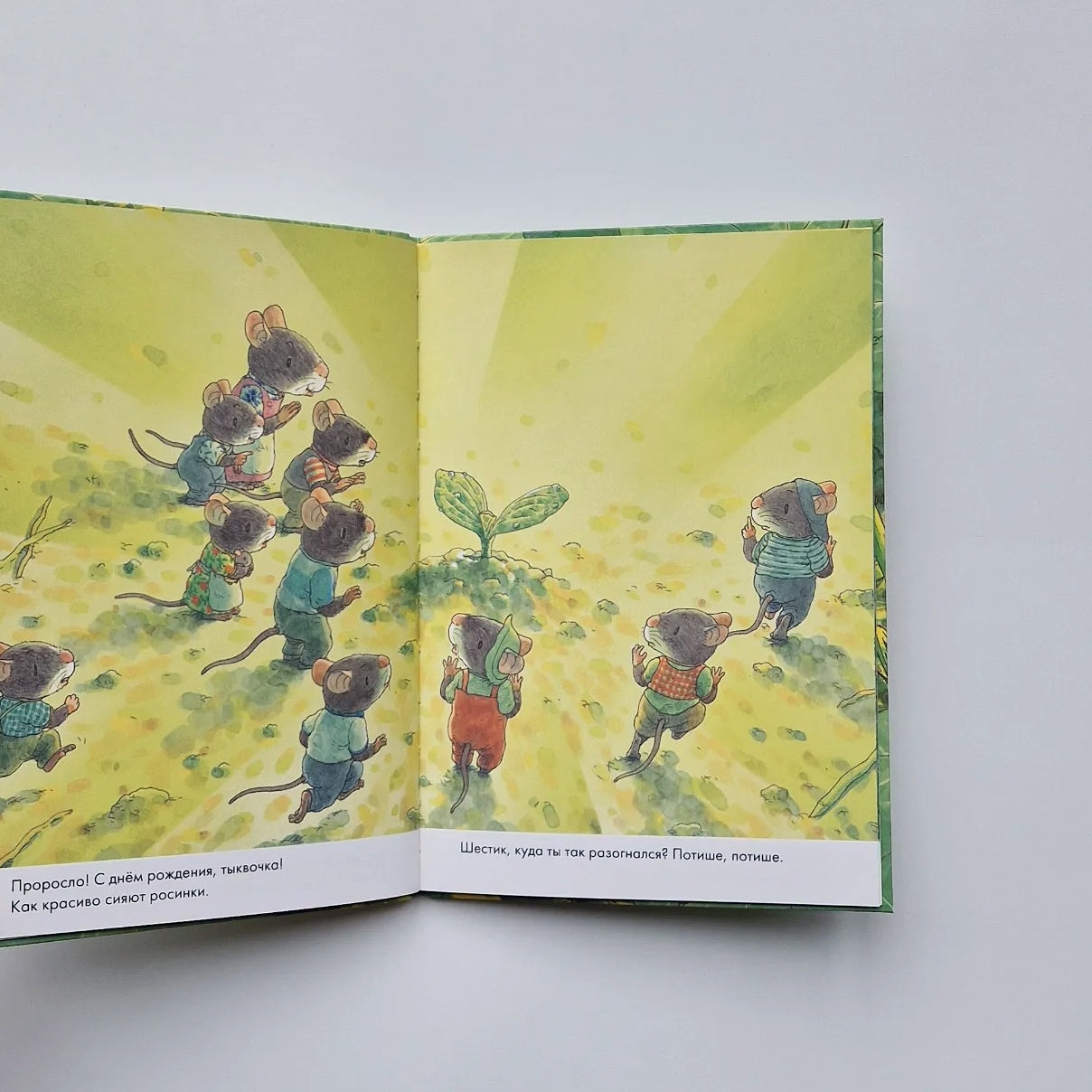 14 лесных мышей. Тыква (мини)