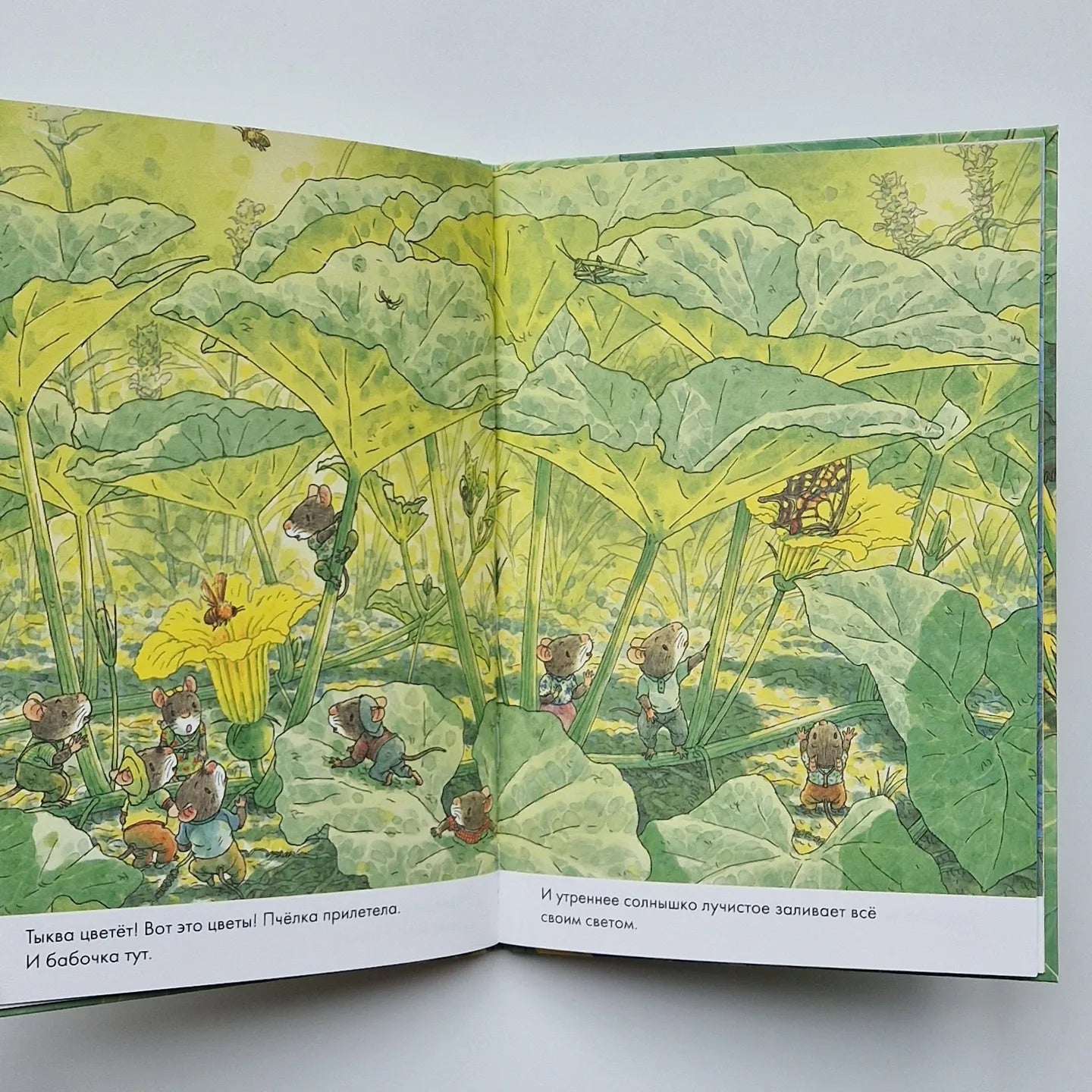 14 лесных мышей. Тыква (мини)