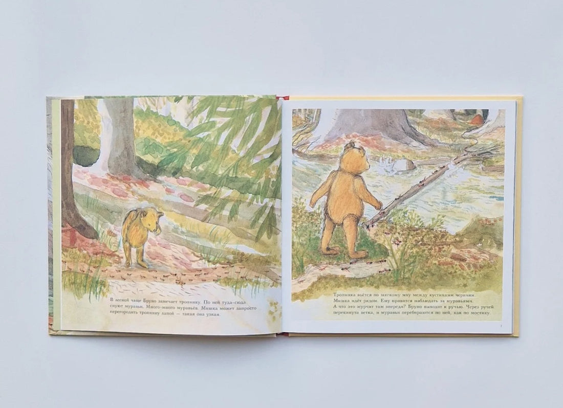 Bruno the Bear in the Forest