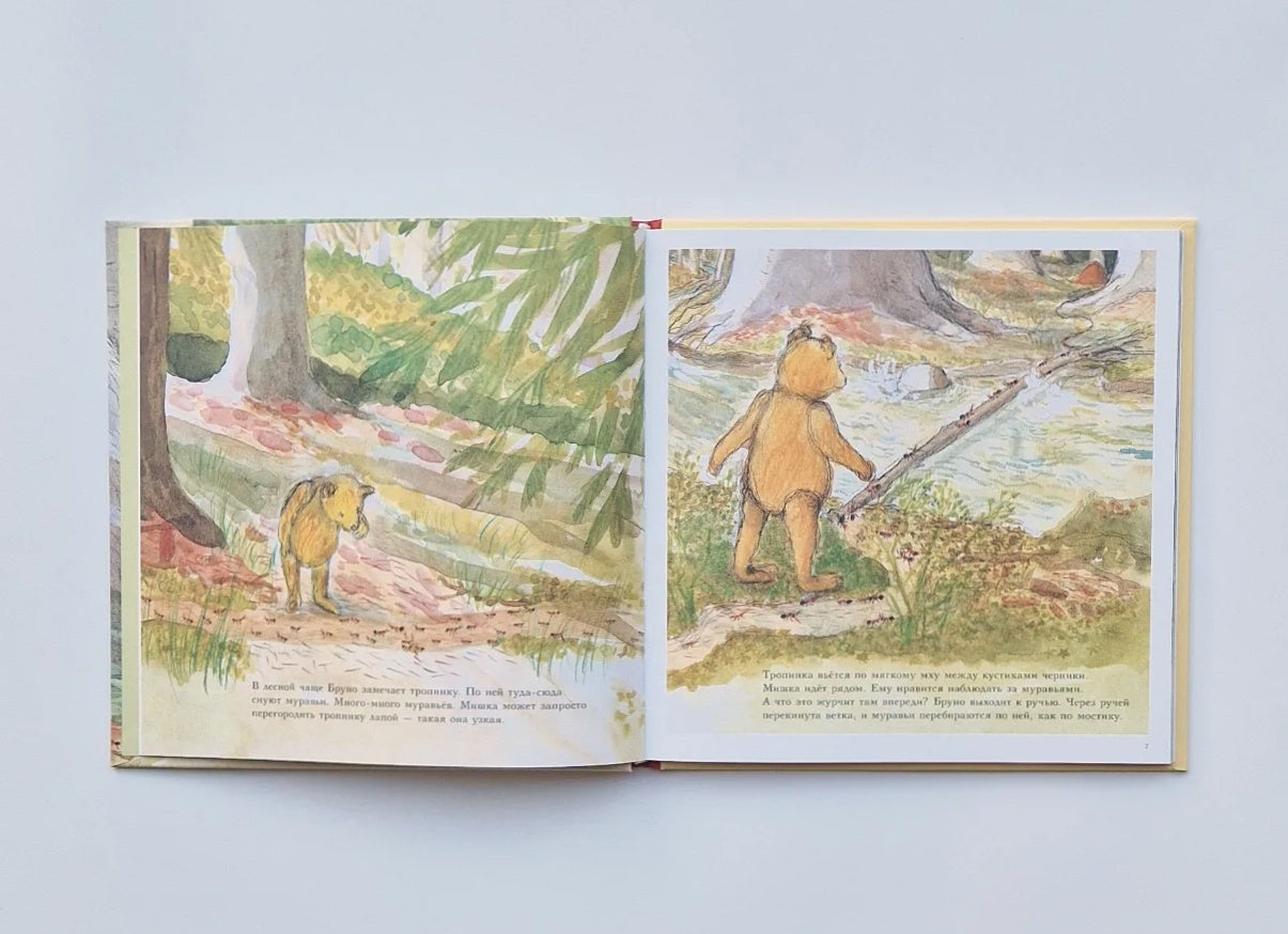 Bruno the Bear in the Forest