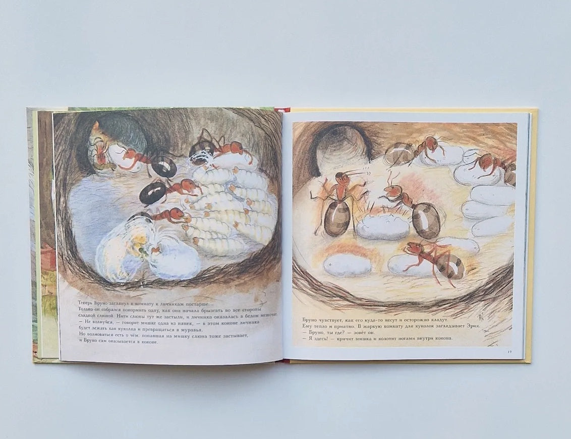 Bruno the Bear in the Forest