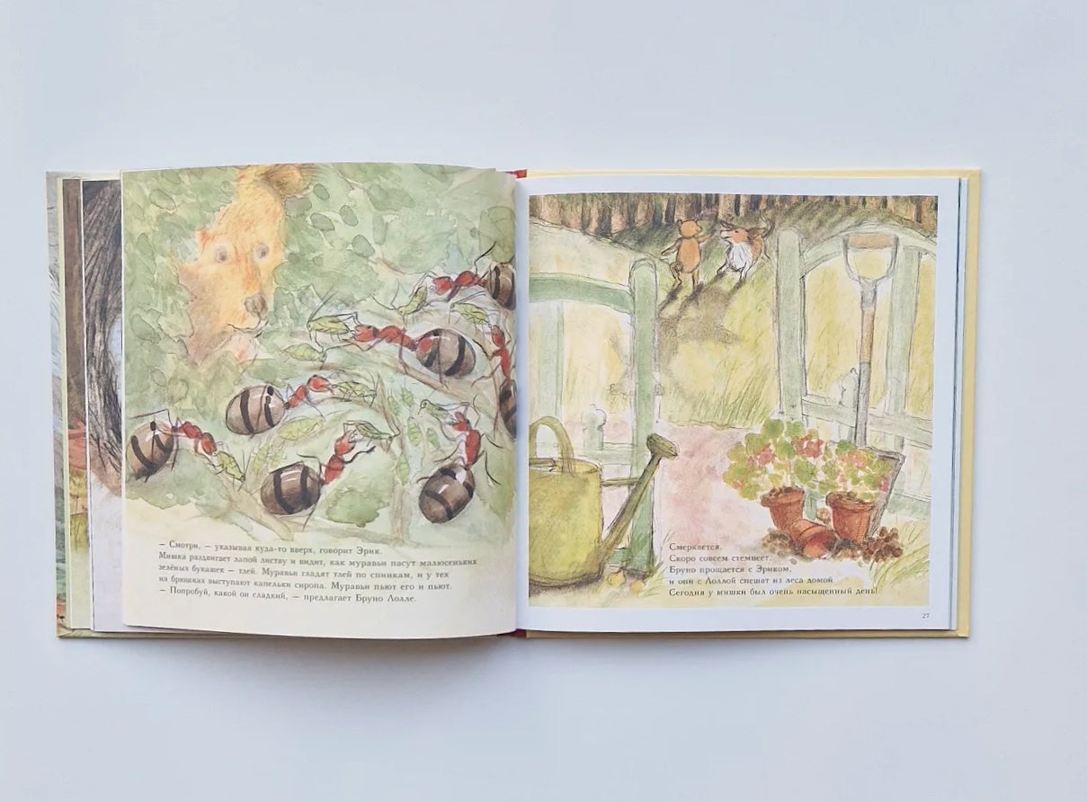 Bruno the Bear in the Forest