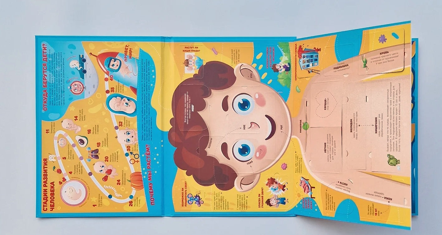 Что внутри человека? Книга с окошками