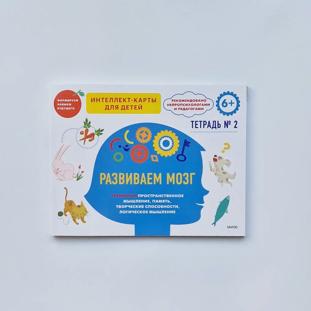 Развиваем мозг. Тренируем пространственное мышление, творческие способности, память. Тетрадь 2