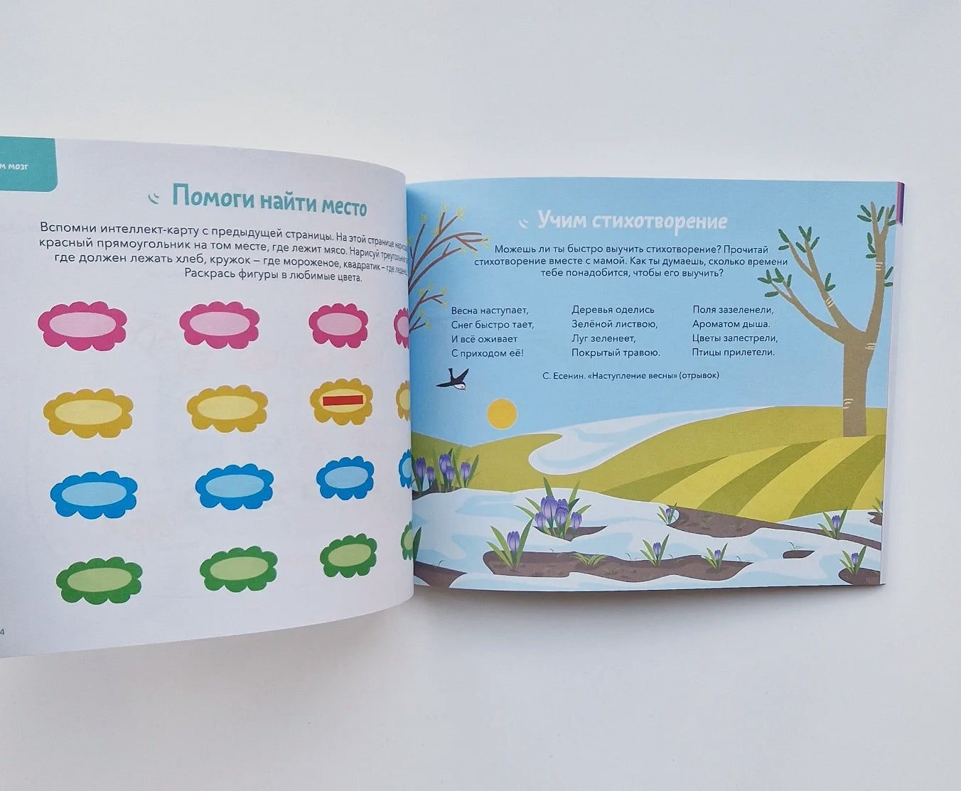 Развиваем мозг. Тренируем пространственное мышление, творческие способности, память. Тетрадь 2