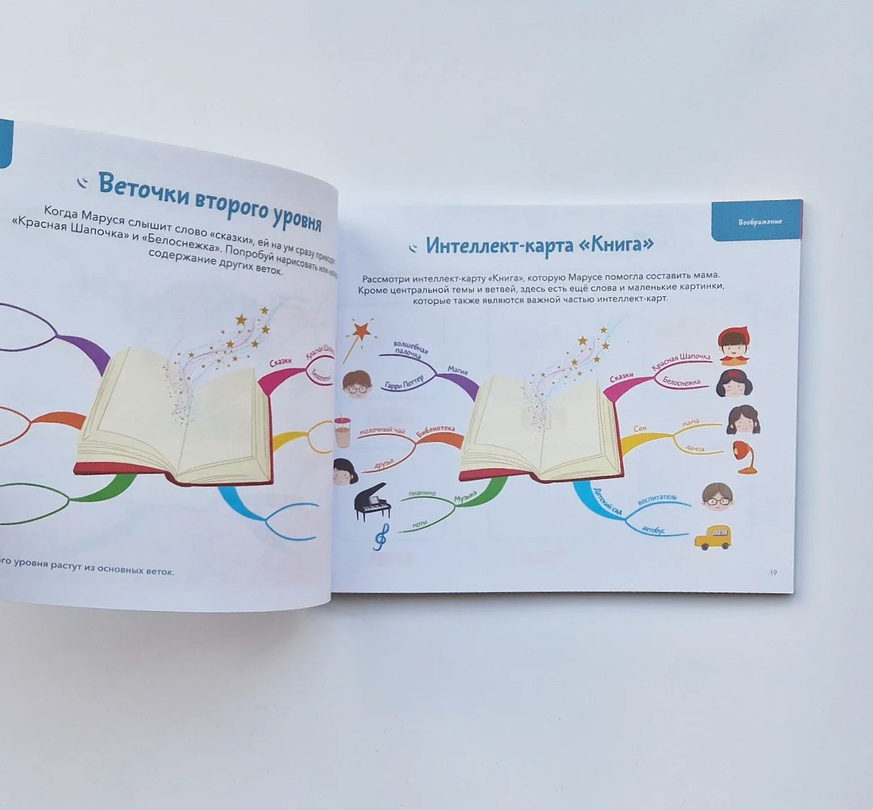 Развиваем мозг. Тренируем воображение, наблюдательность, внимательность, рассудительность. Тетрадь 1