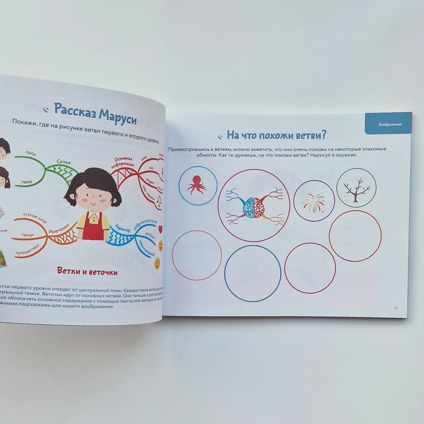 Развиваем мозг. Тренируем воображение, наблюдательность, внимательность, рассудительность. Тетрадь 1