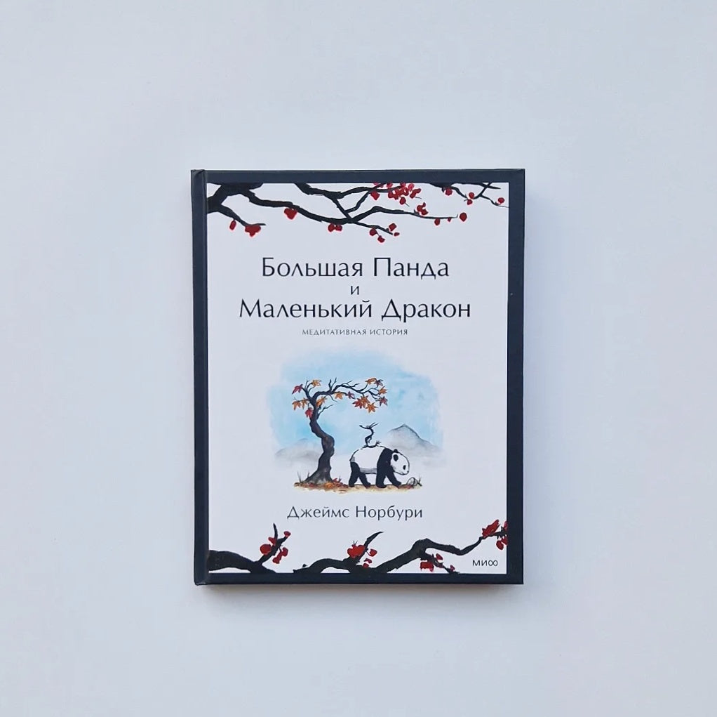 Большая Панда и Маленький Дракон. Медитативная история