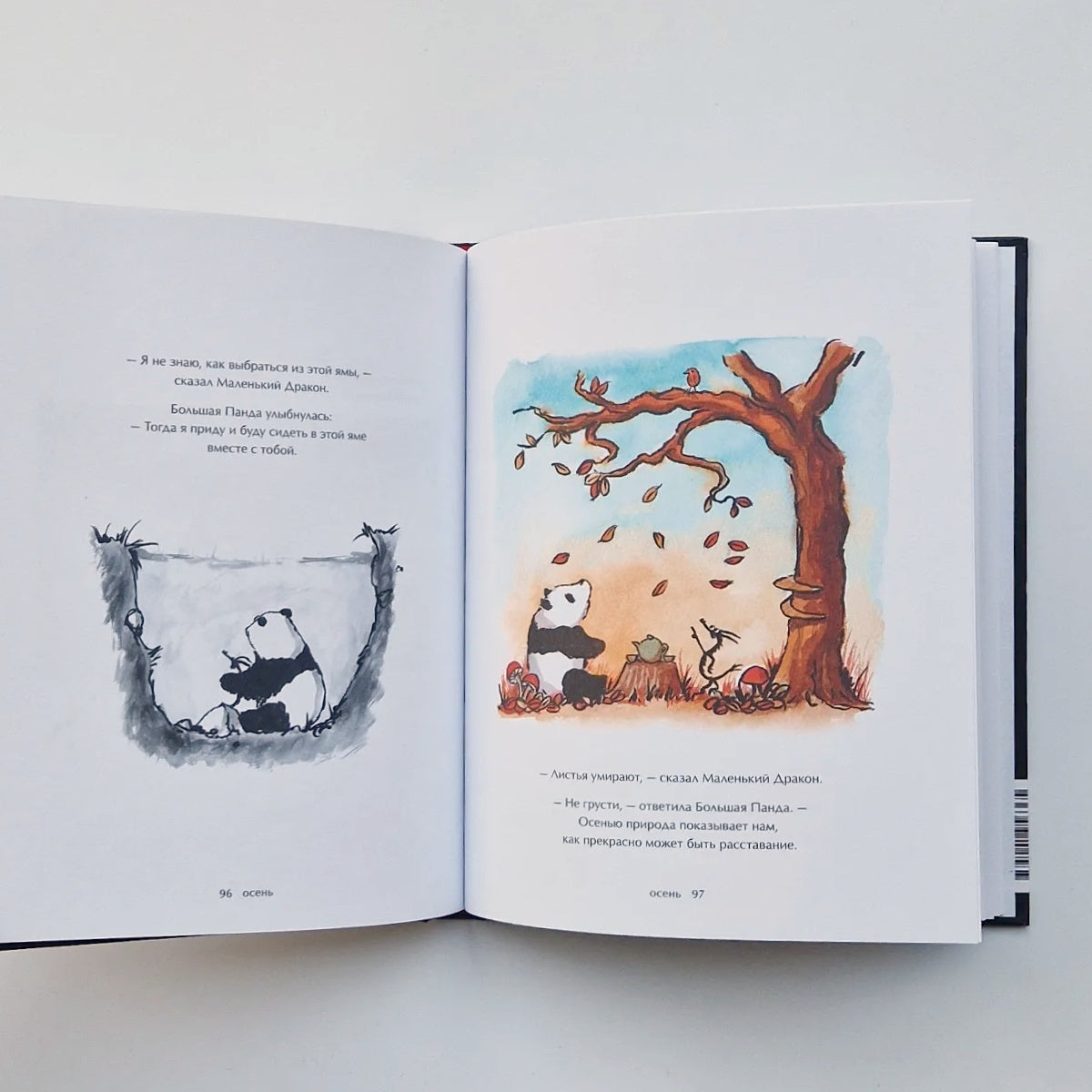 Большая Панда и Маленький Дракон. Медитативная история