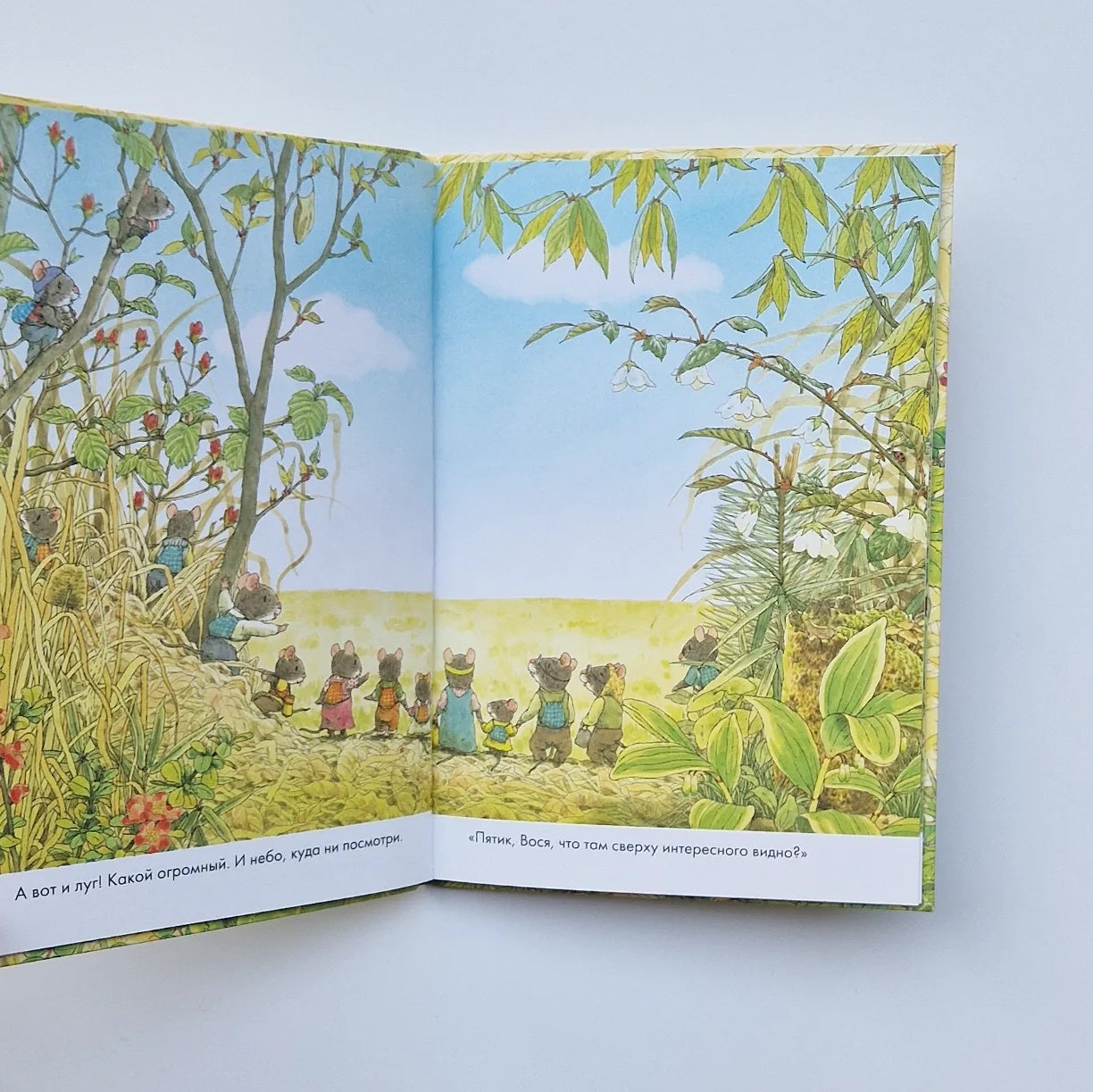 14 лесных мышей. Пикник (мини)