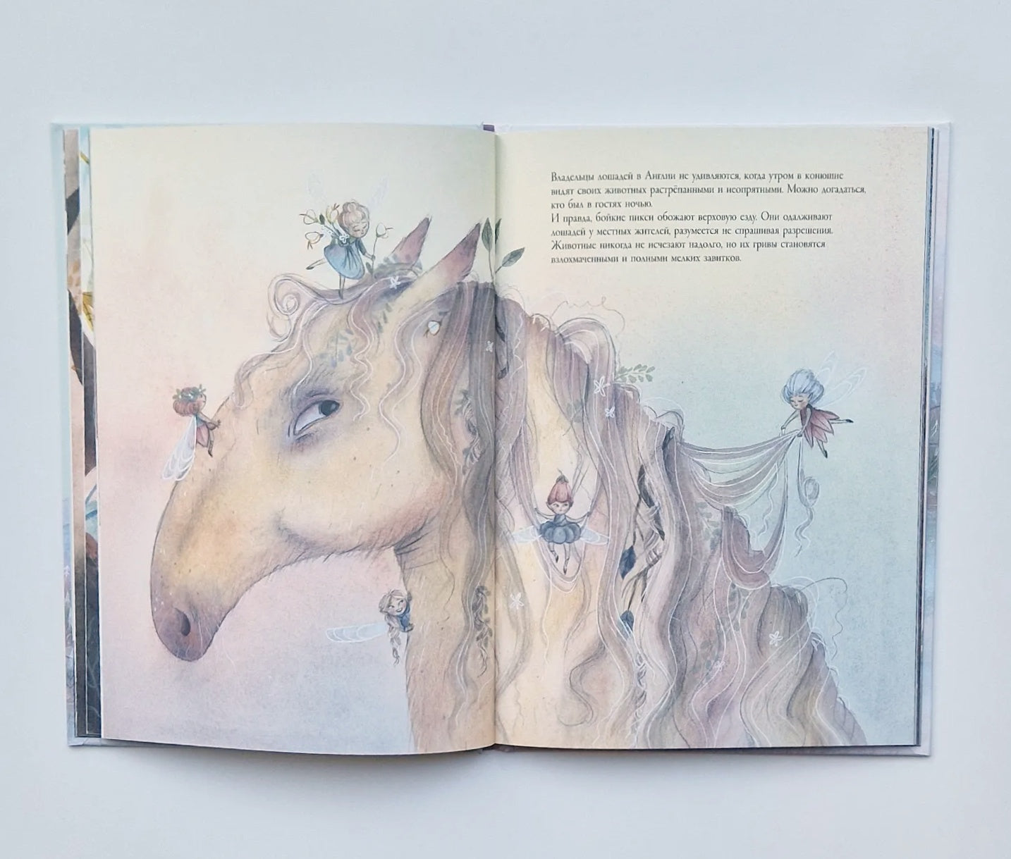 Тролли, гномы, пикси и лесные существа со всего света