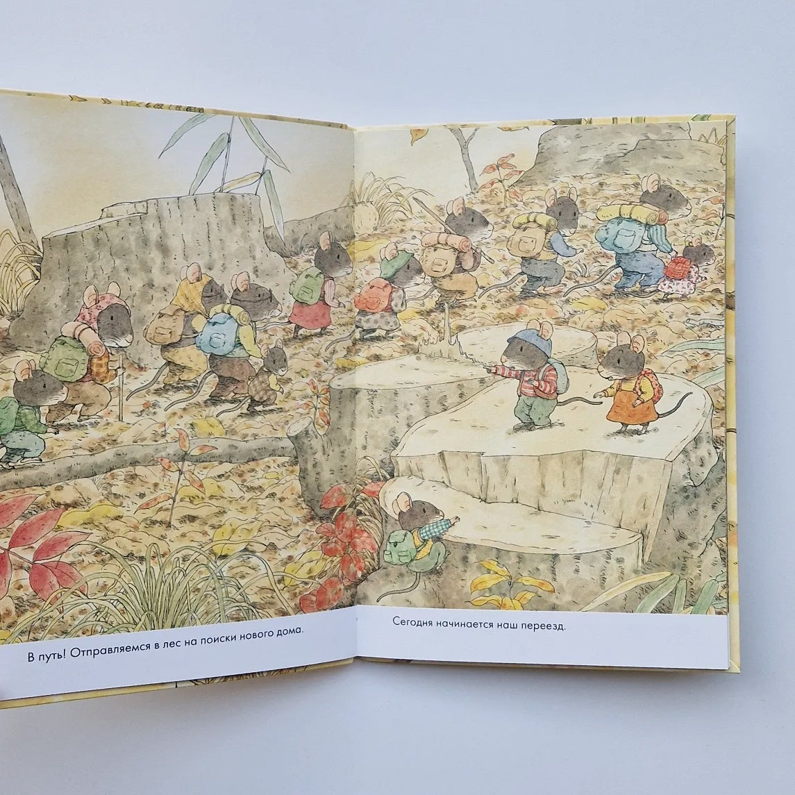 14 лесных мышей. Переезд (мини)