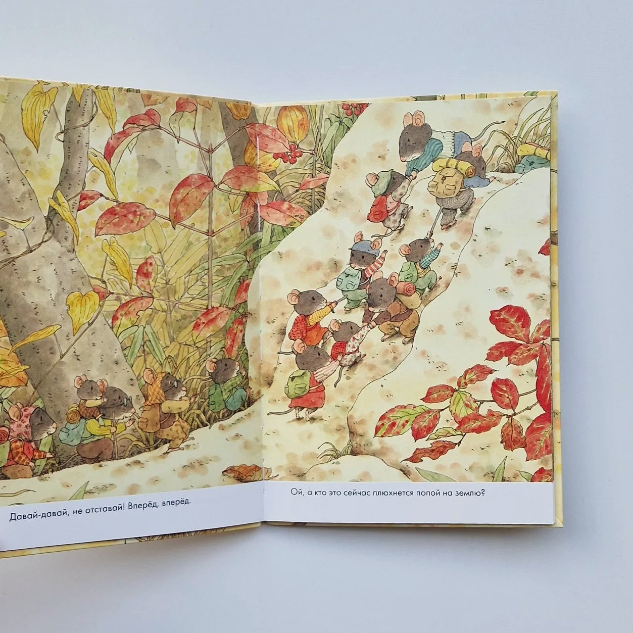 14 лесных мышей. Переезд (мини)