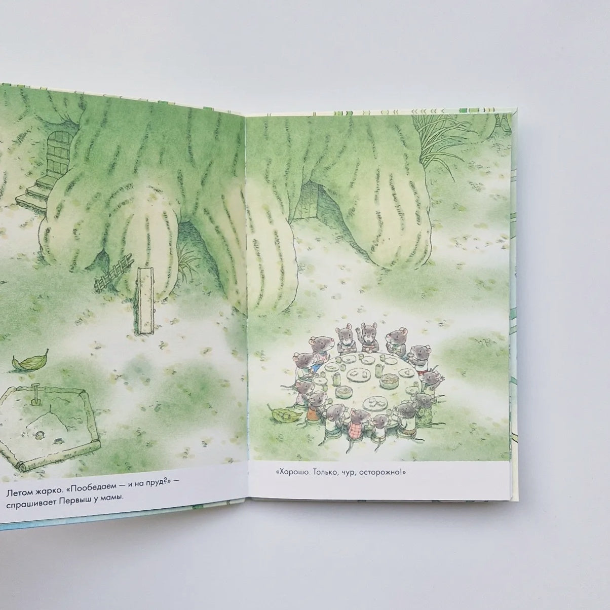 14 лесных мышей. Стрекозиный пруд (мини)