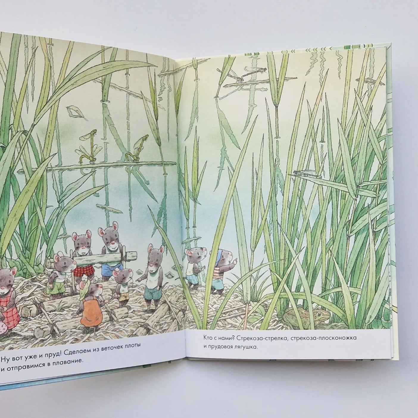 14 лесных мышей. Стрекозиный пруд (мини)