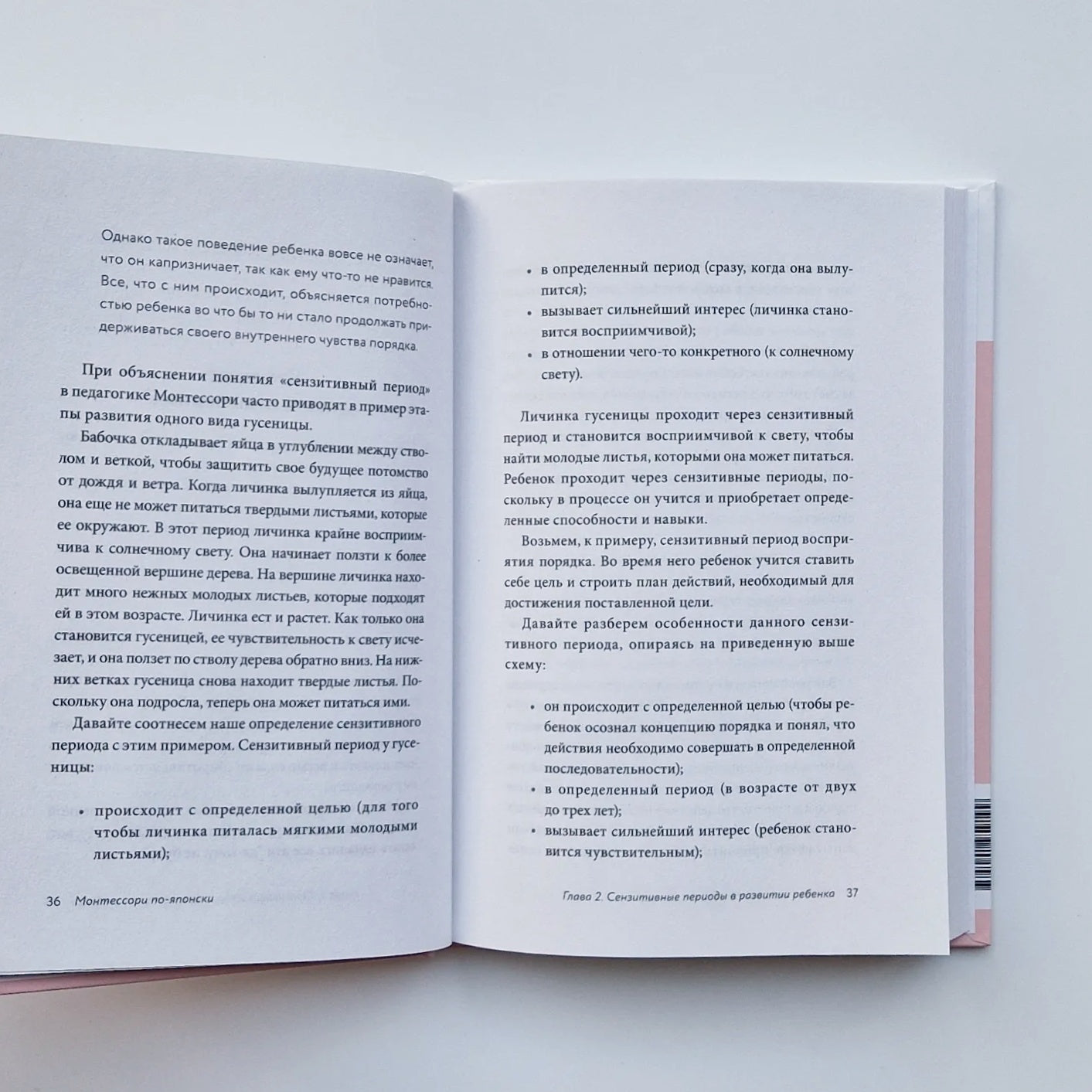 Montessori in Japanese: The Legendary System of Raising Independent Children