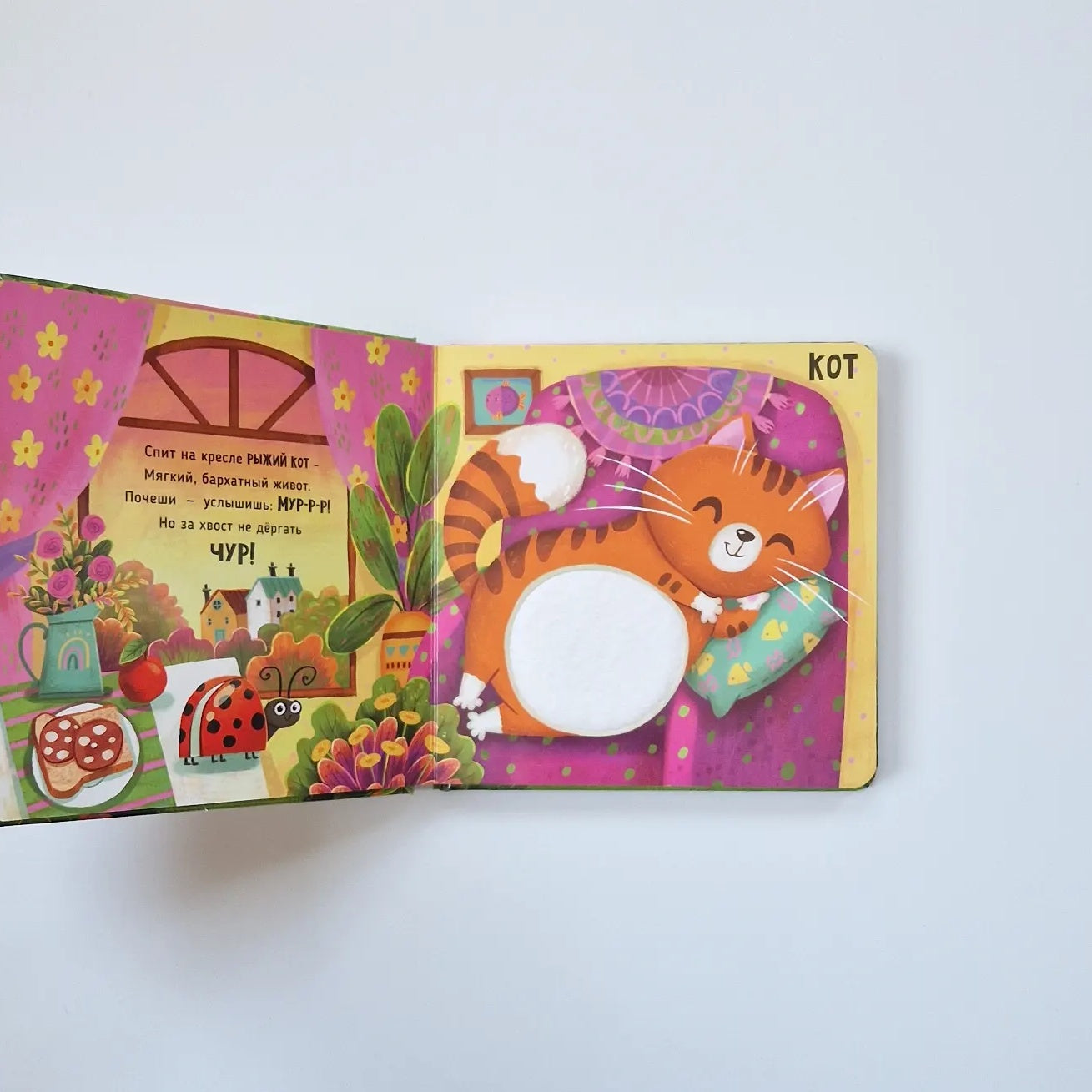 Трогательные истории. Питомцы