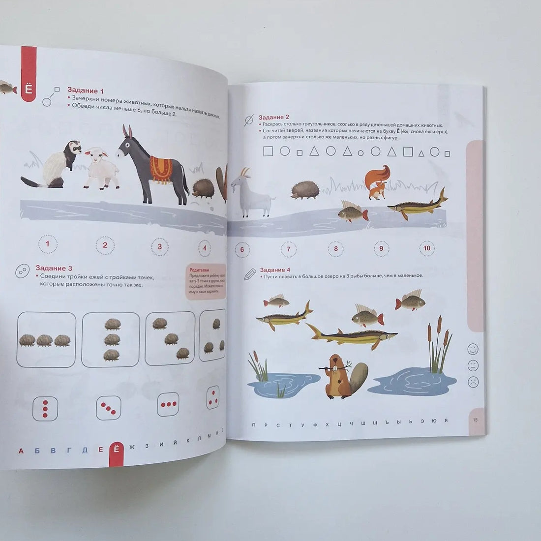 Counting. Learning to confidently count within 10. 5-6 years