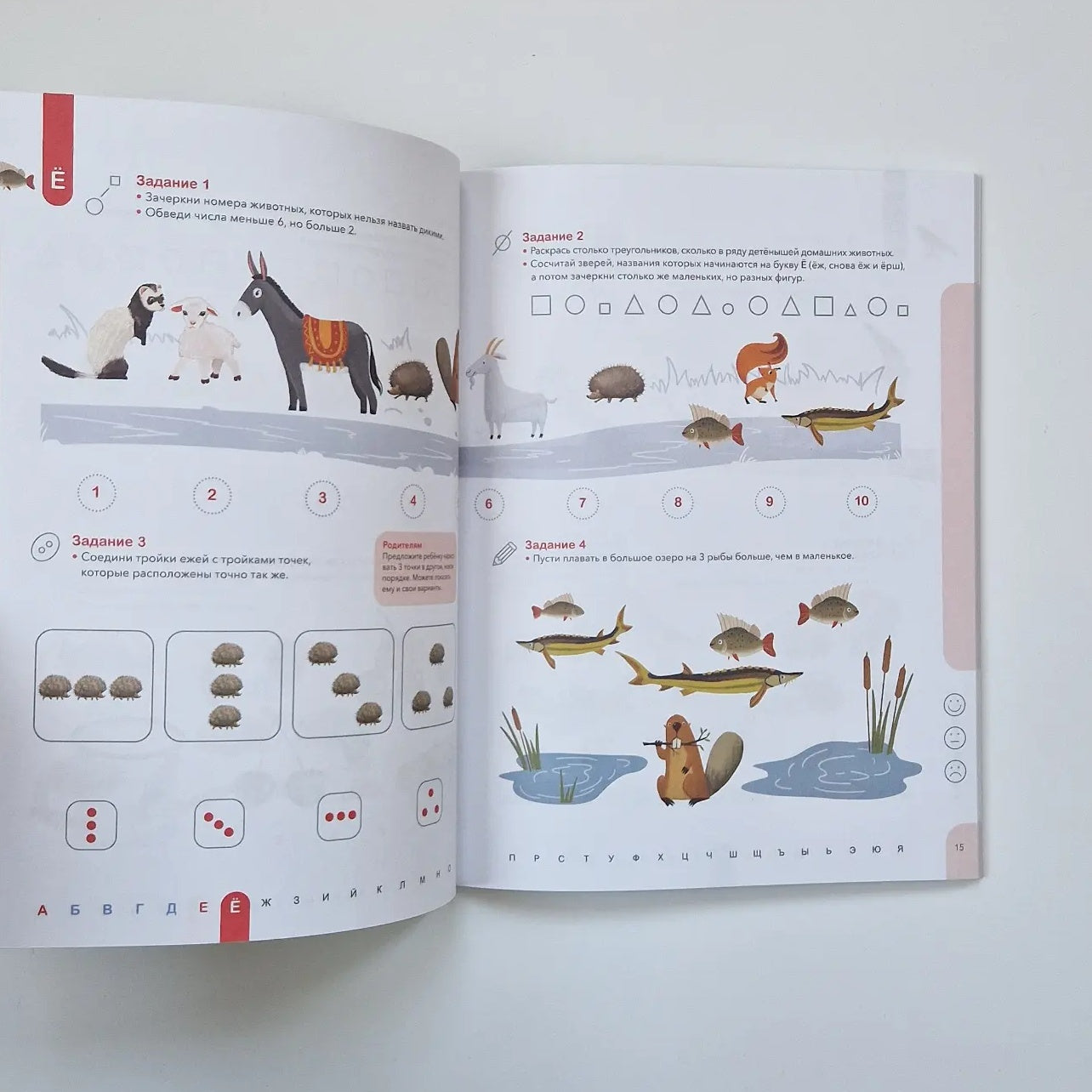 Counting. Learning to confidently count within 10. 5-6 years