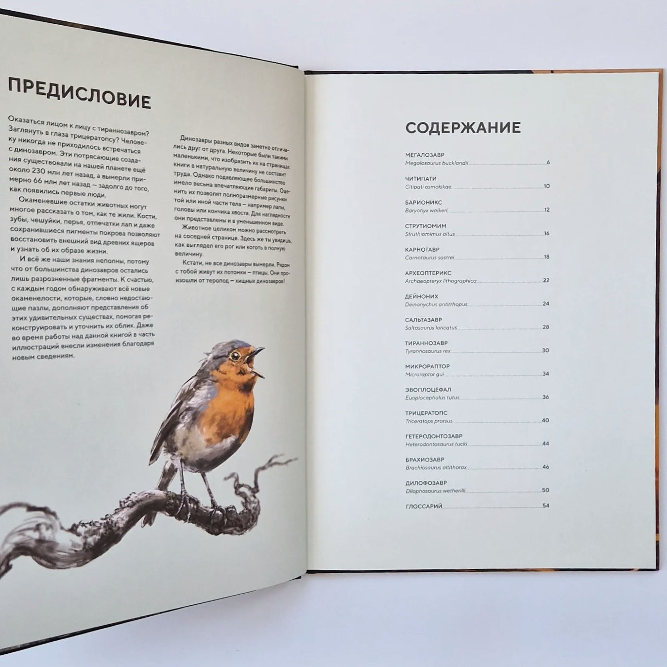 Динозавры в натуральную величину