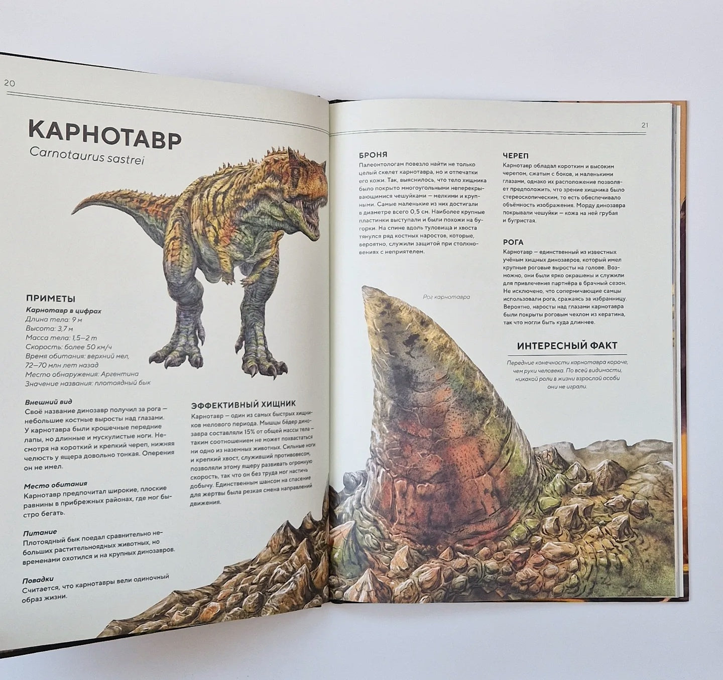 Динозавры в натуральную величину