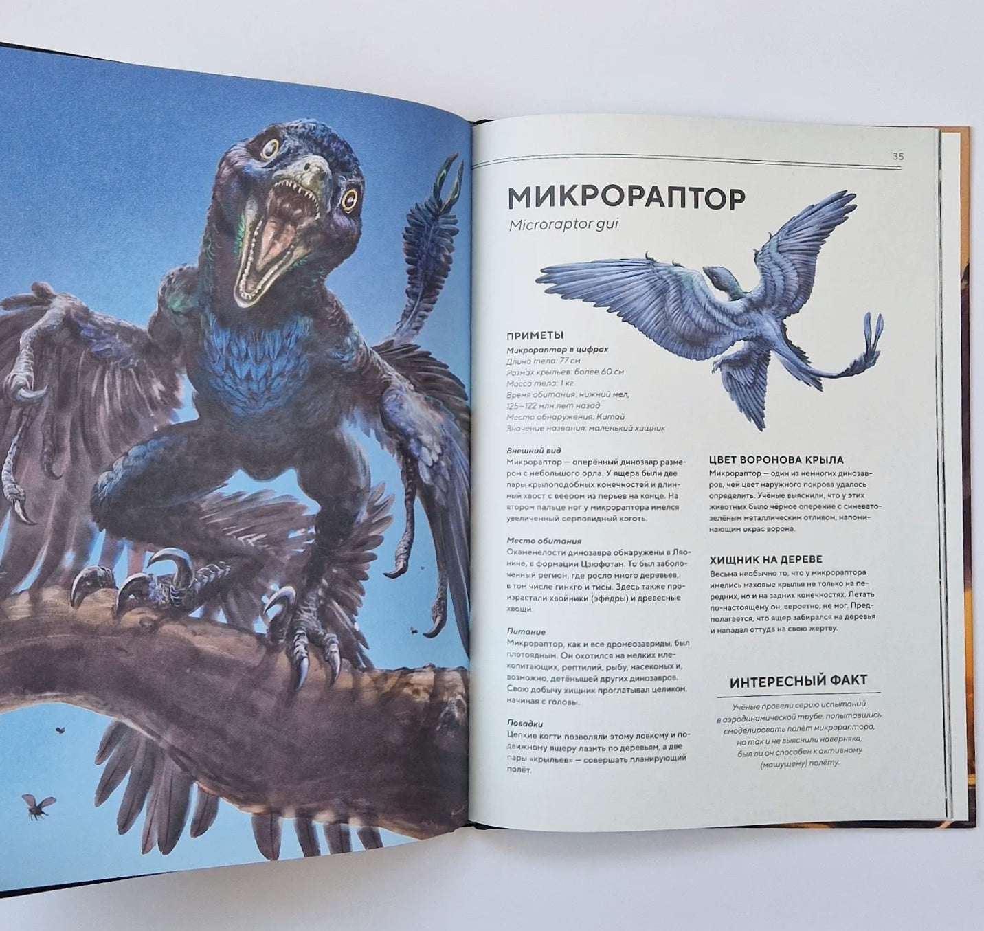 Динозавры в натуральную величину