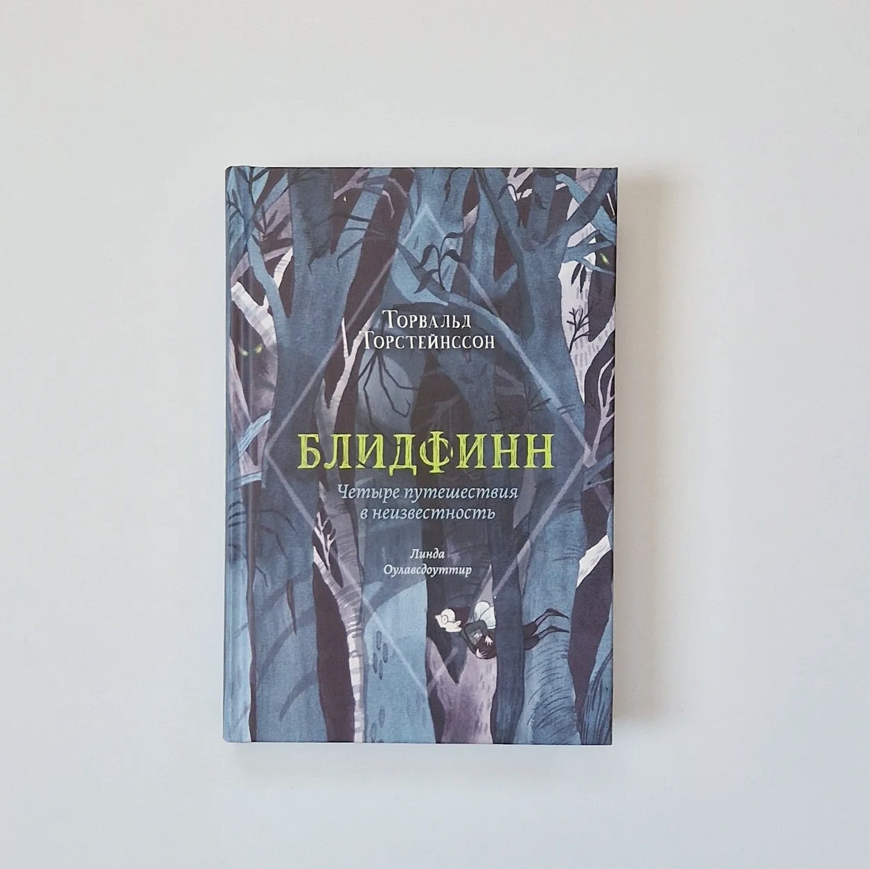 Блидфинн. Четыре путешествия в неизвестность