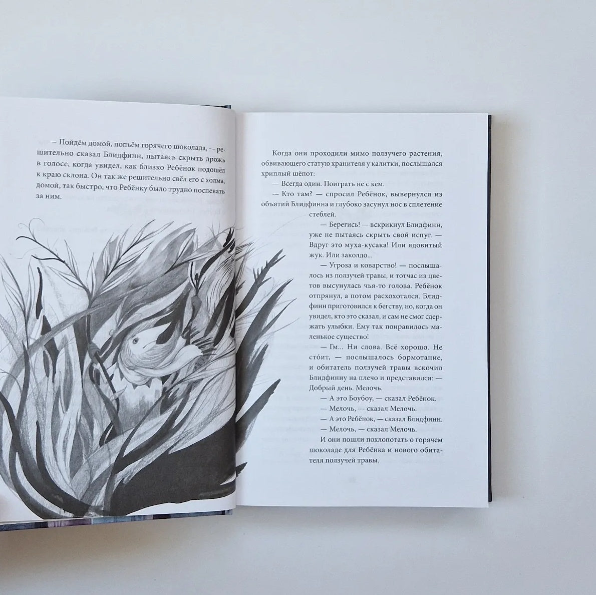 Блидфинн. Четыре путешествия в неизвестность