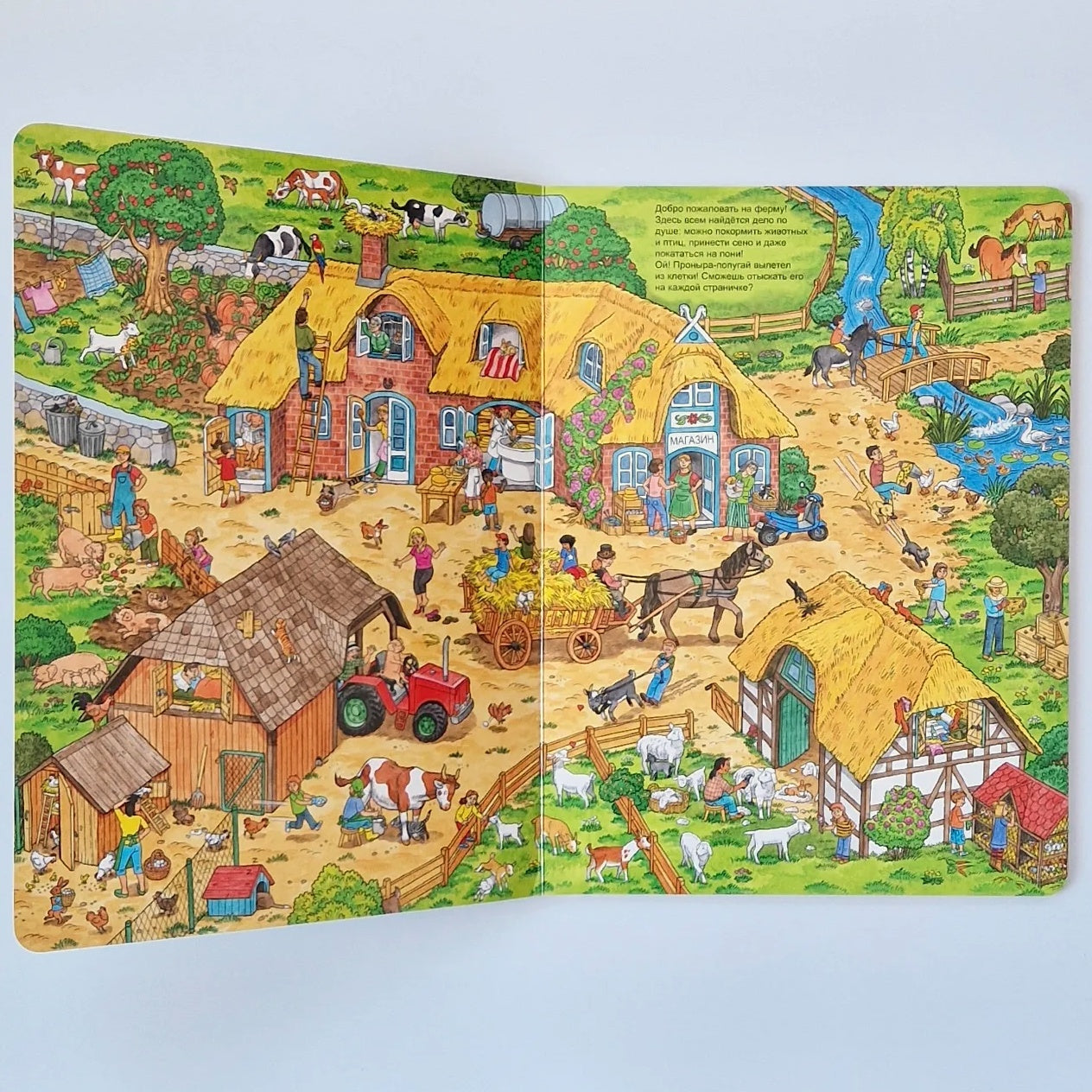 Animal Life. Wimmelbuch