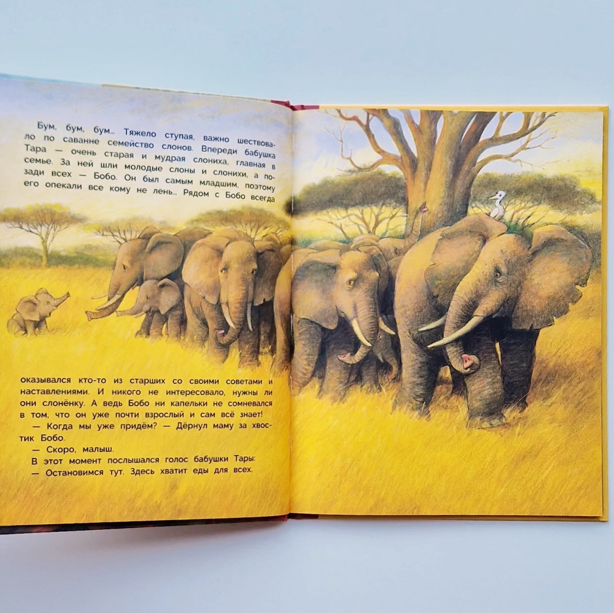 Слонёнок Бобо