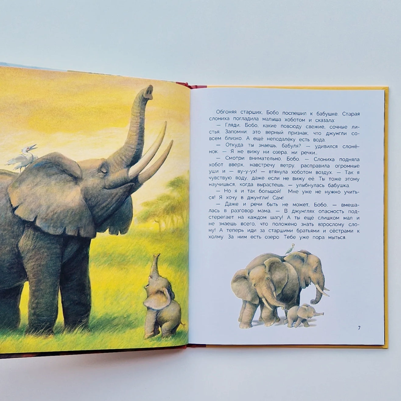 Слонёнок Бобо