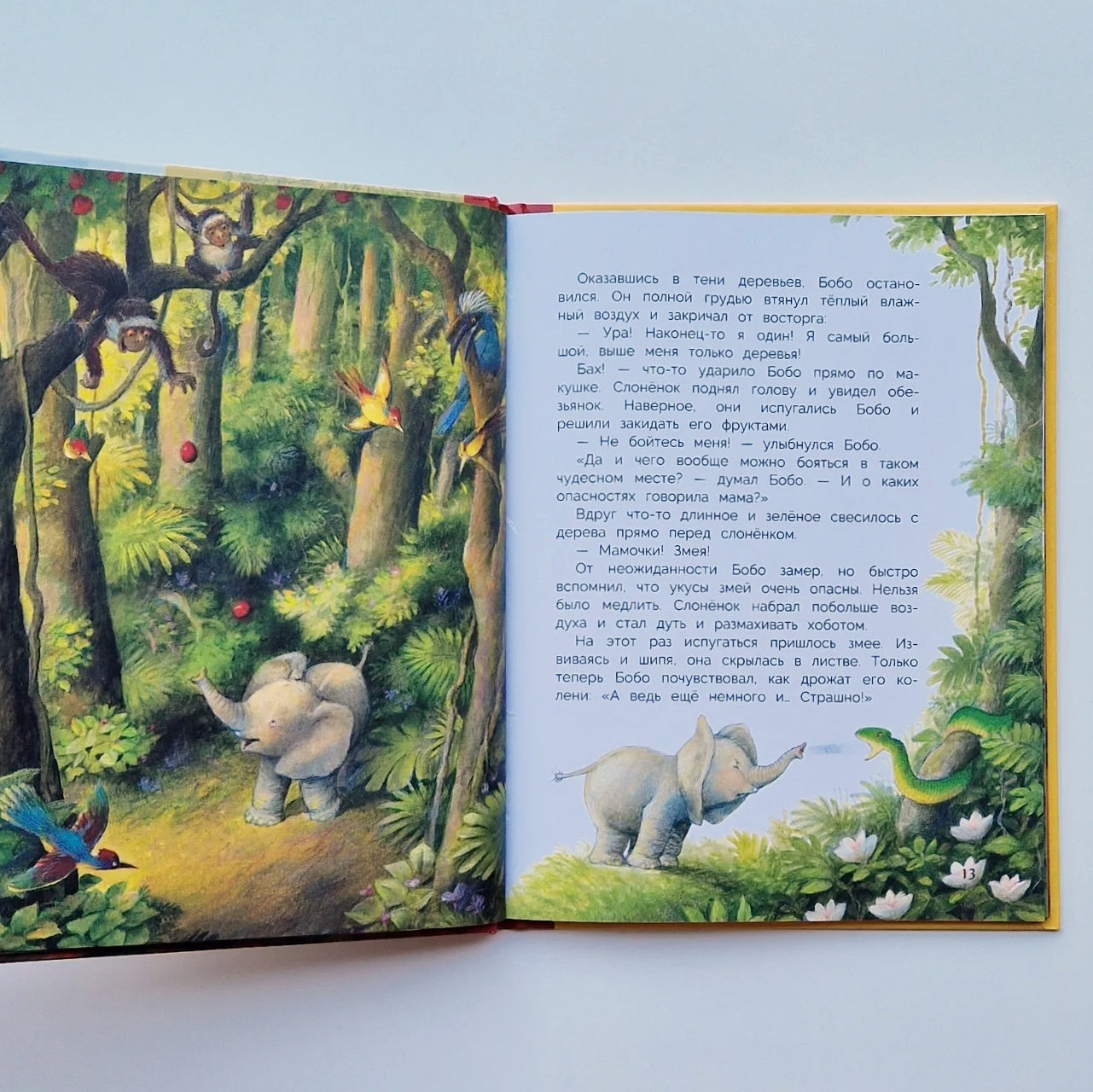 Слонёнок Бобо