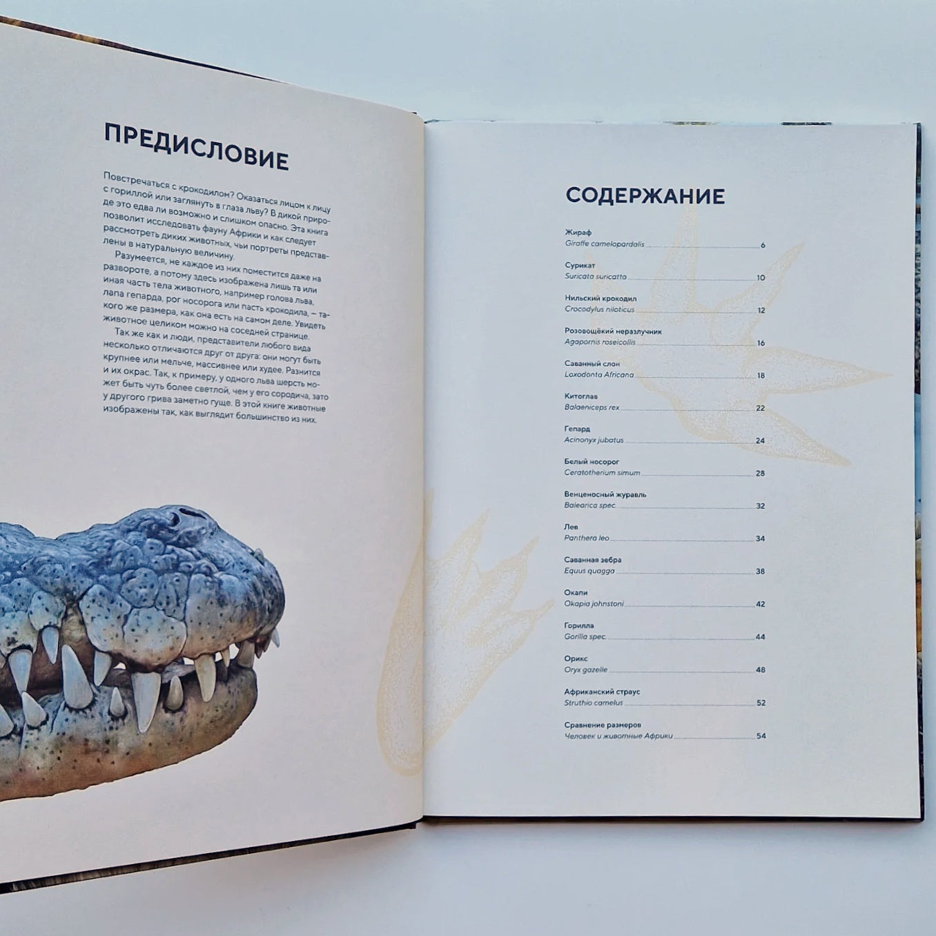 Животные Африки в натуральную величину