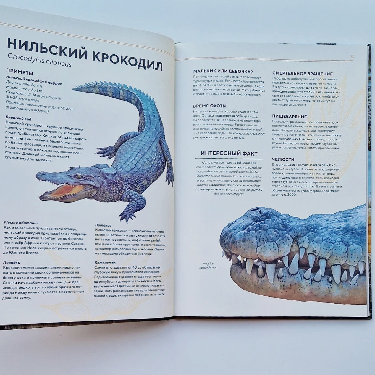 Животные Африки в натуральную величину