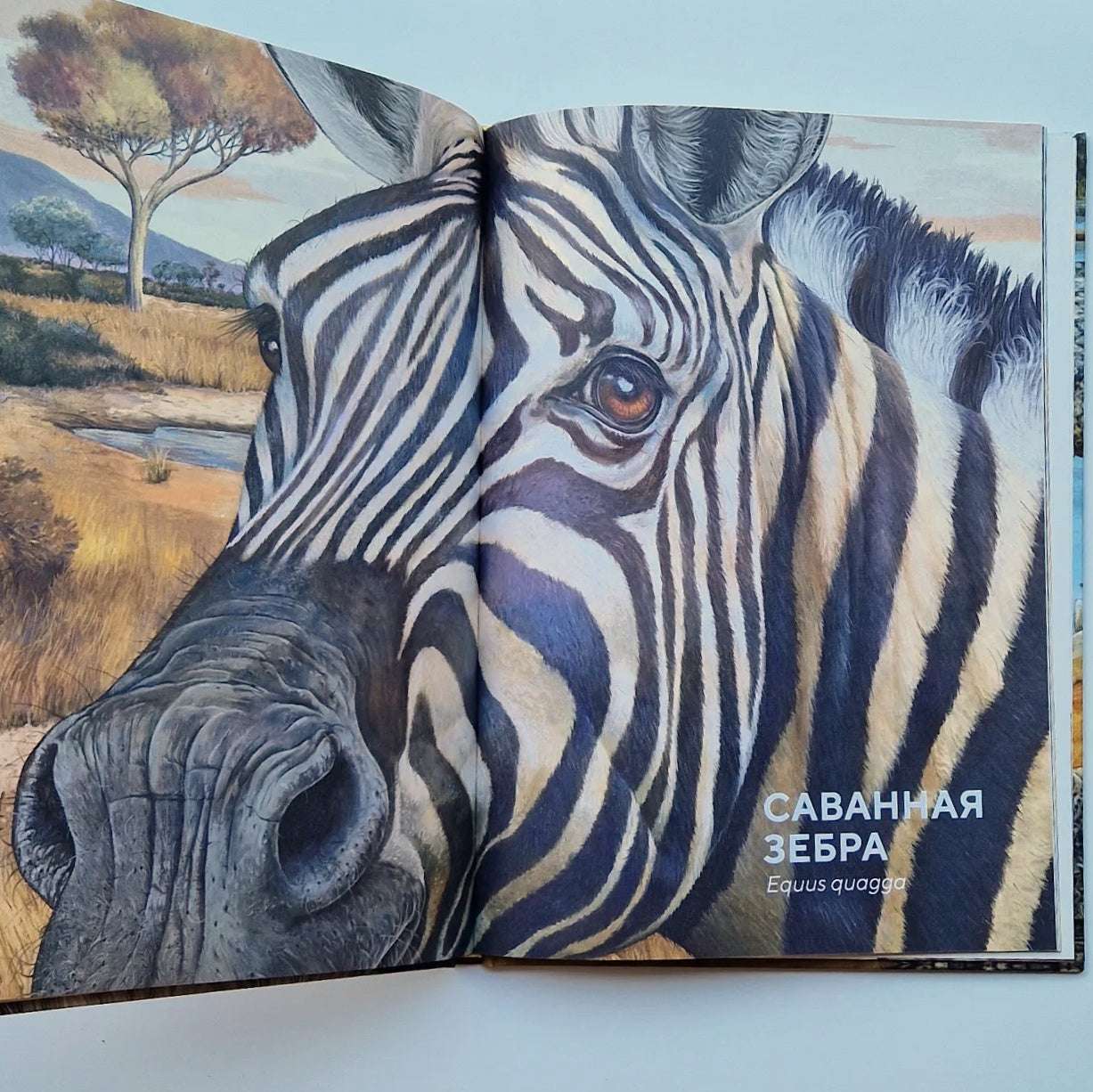 Животные Африки в натуральную величину