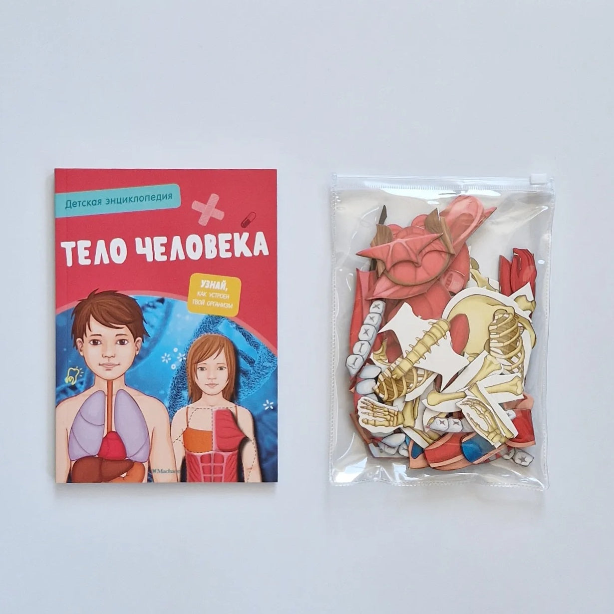 Тело человека. Интерактивная детская энциклопедия с магнитами