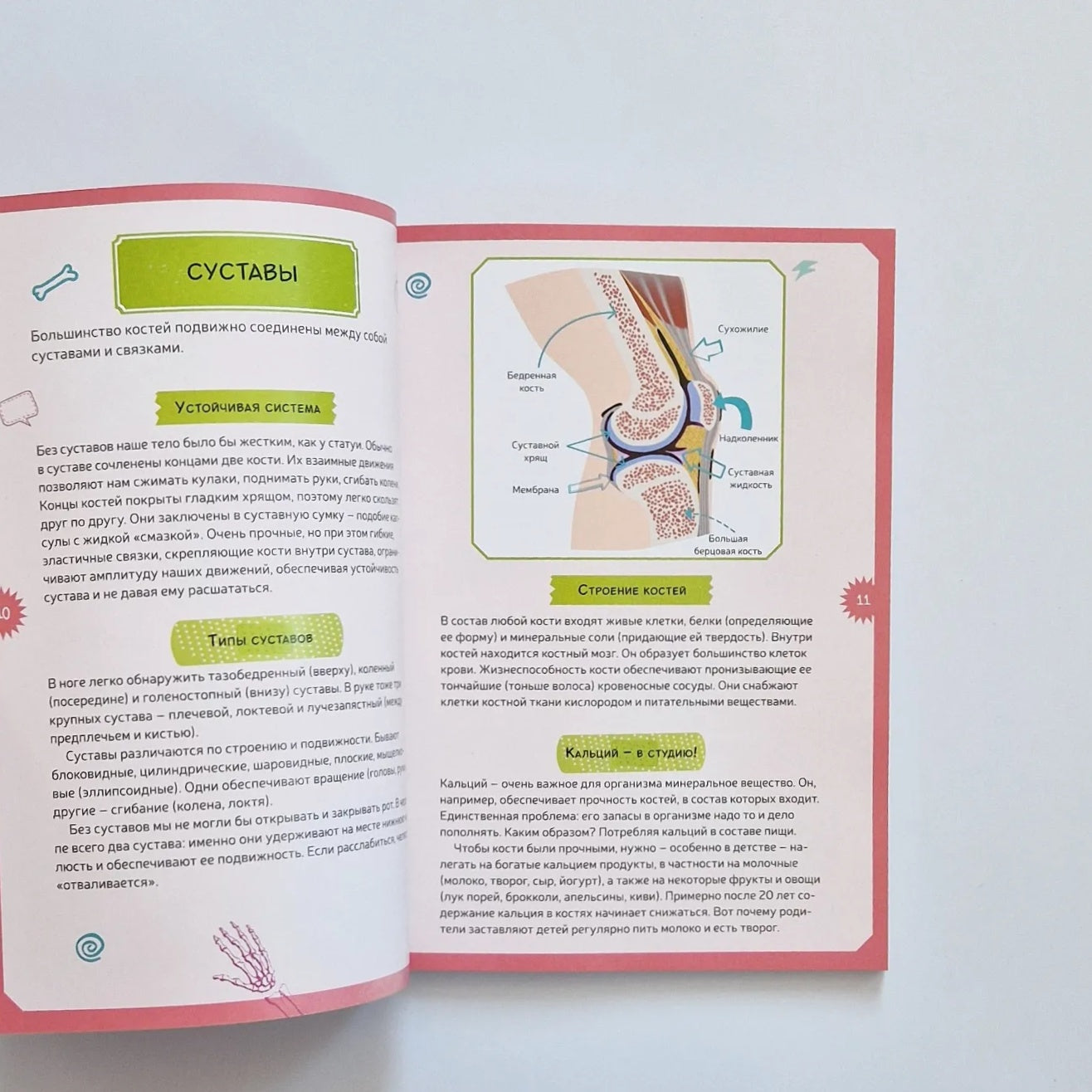 Тело человека. Интерактивная детская энциклопедия с магнитами