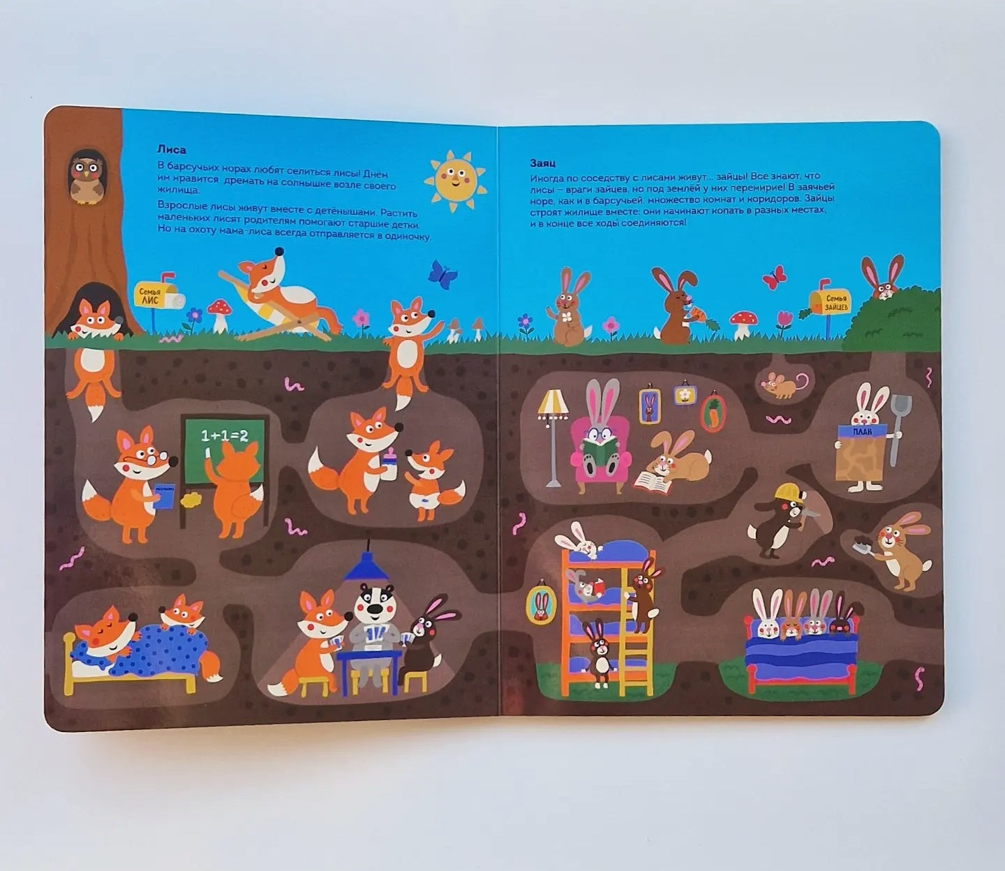 Кто живет под землей. Виммельбух